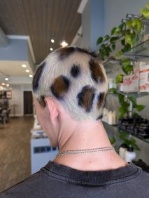 {{brizy_dc_image_alt imageSrc=